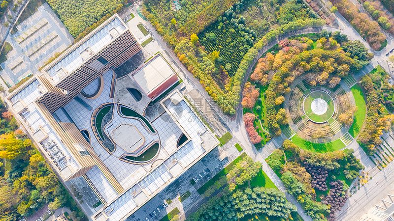 电子模块定制与标准模块：本质区别与选择要点