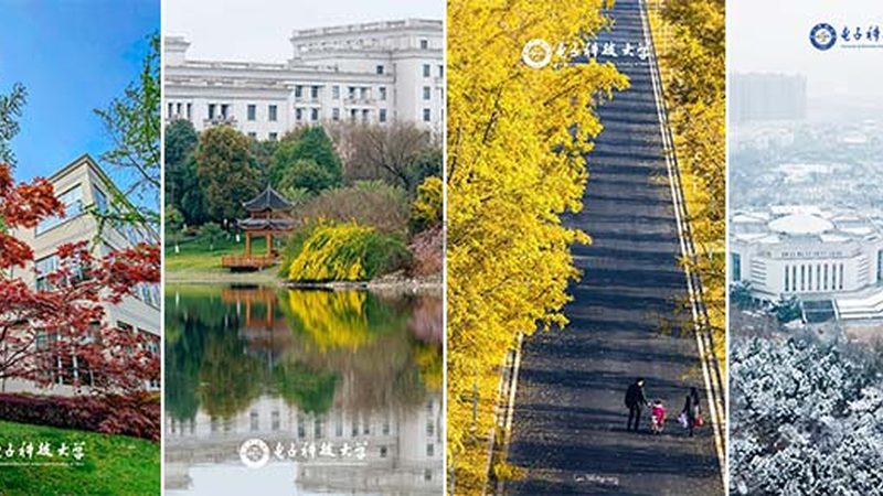 深圳芯片采购：如何规避潜在风险，确保供应链稳定
