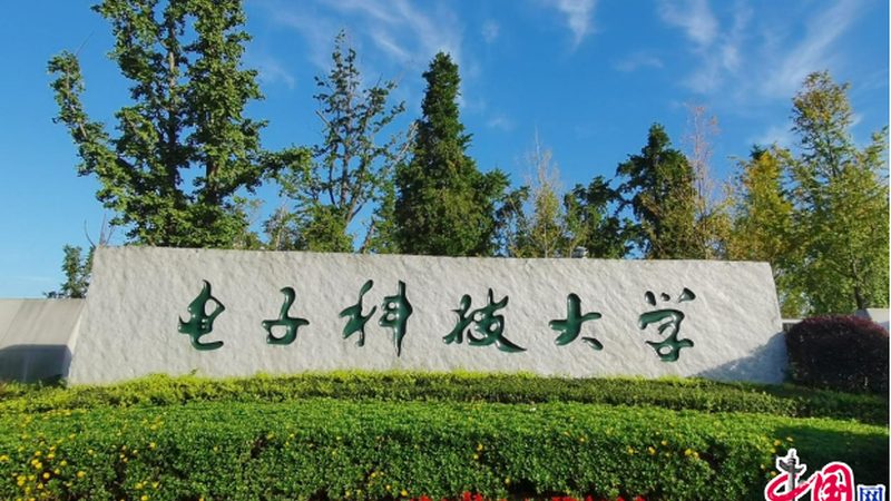 电子加工组装厂的可靠性：如何辨析与选择**